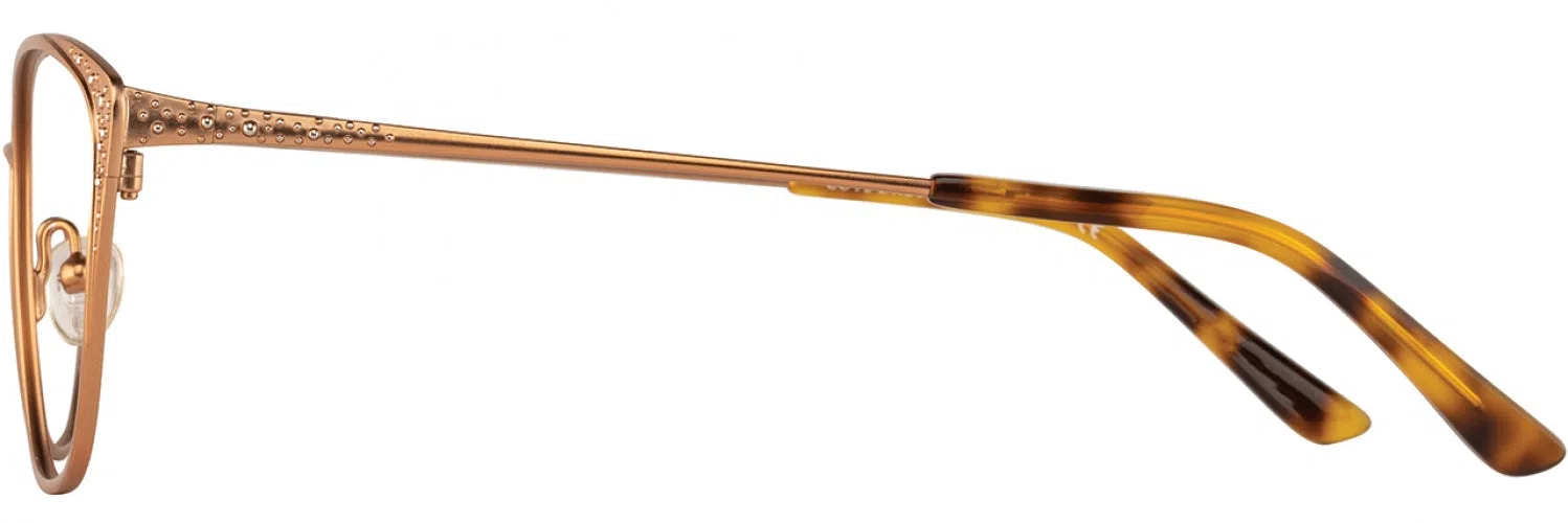 Cote DAzur CDA360 Eyeglasses - view 11